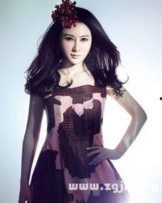 石天琦背景,从影视新星到商业精英的跨界传奇